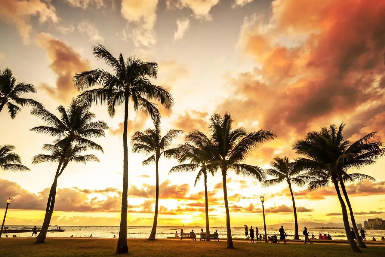 Hawaiian Monarch 3707B Condo Honolulu United States